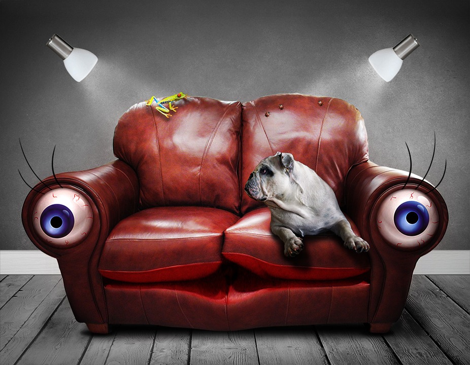 Augensalbe Hund