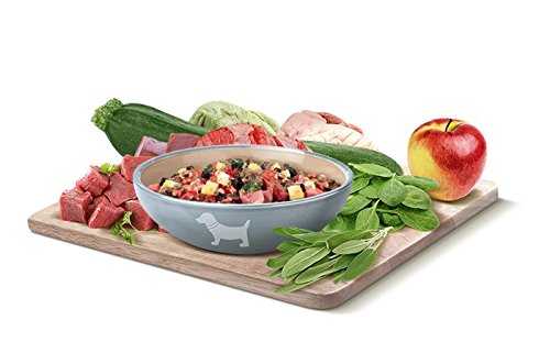 Hundefutter getreidefrei