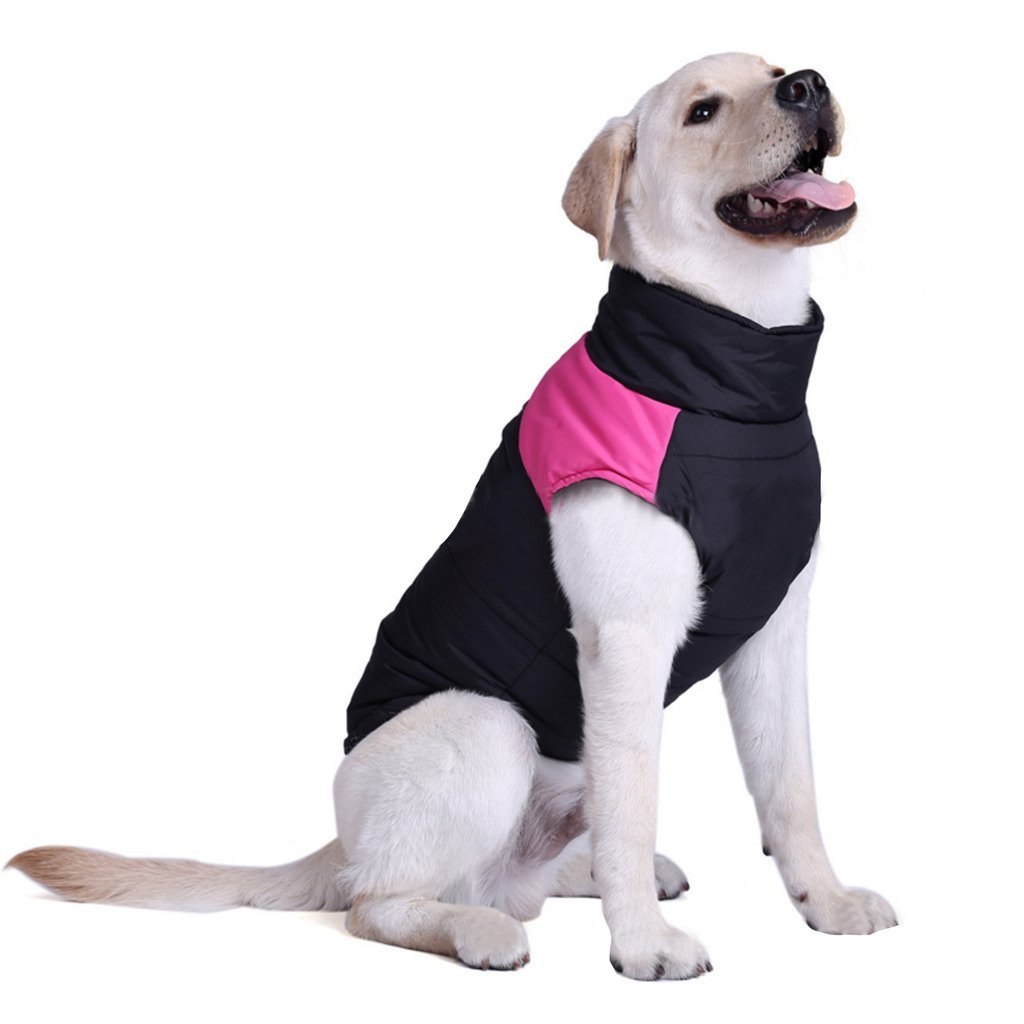 Hundejacke