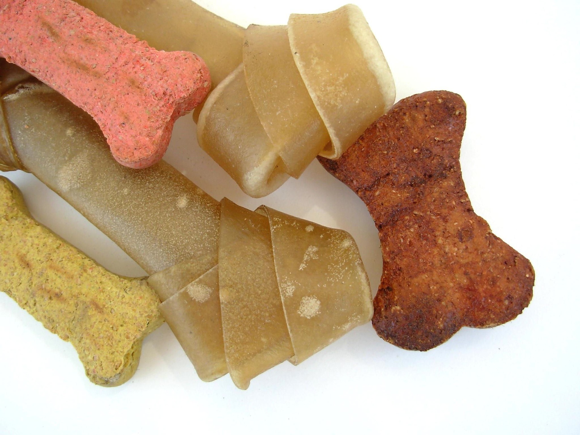 Hundefutter