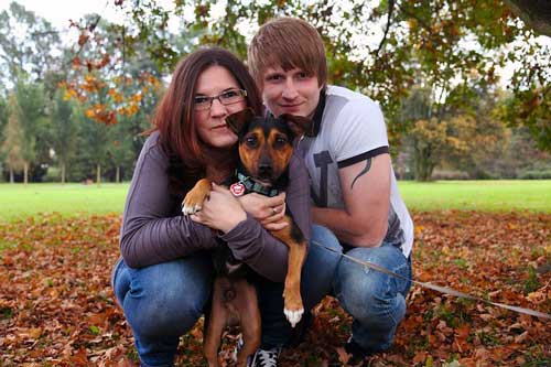 25 unglaubliche Fakten über Hunde